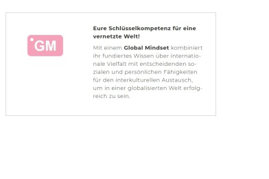 Screenshot Webseite zur Darstellung der Global Mindset Flag